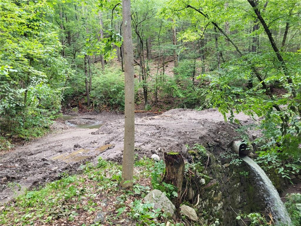 Old Plank Road, Cragsmoor, NY 12420