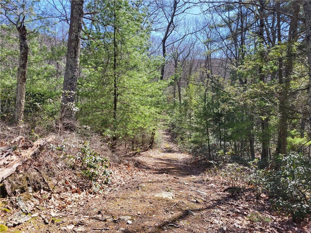 Old Plank Road, Cragsmoor, NY 12420