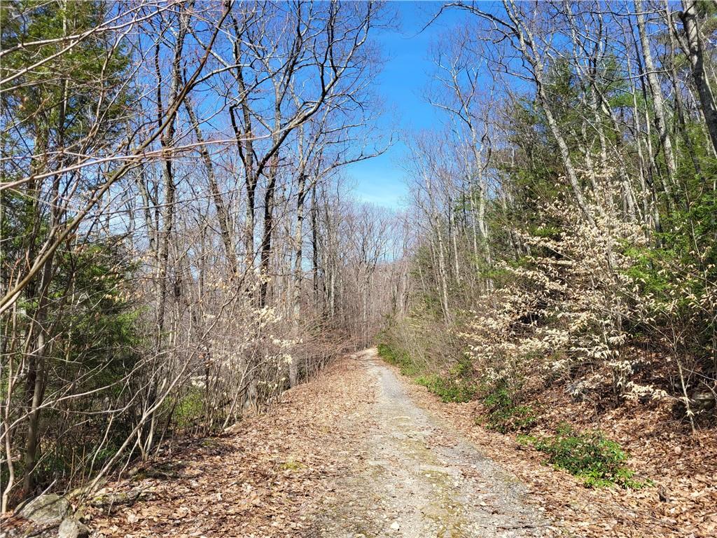 Old Plank Road, Cragsmoor, NY 12420