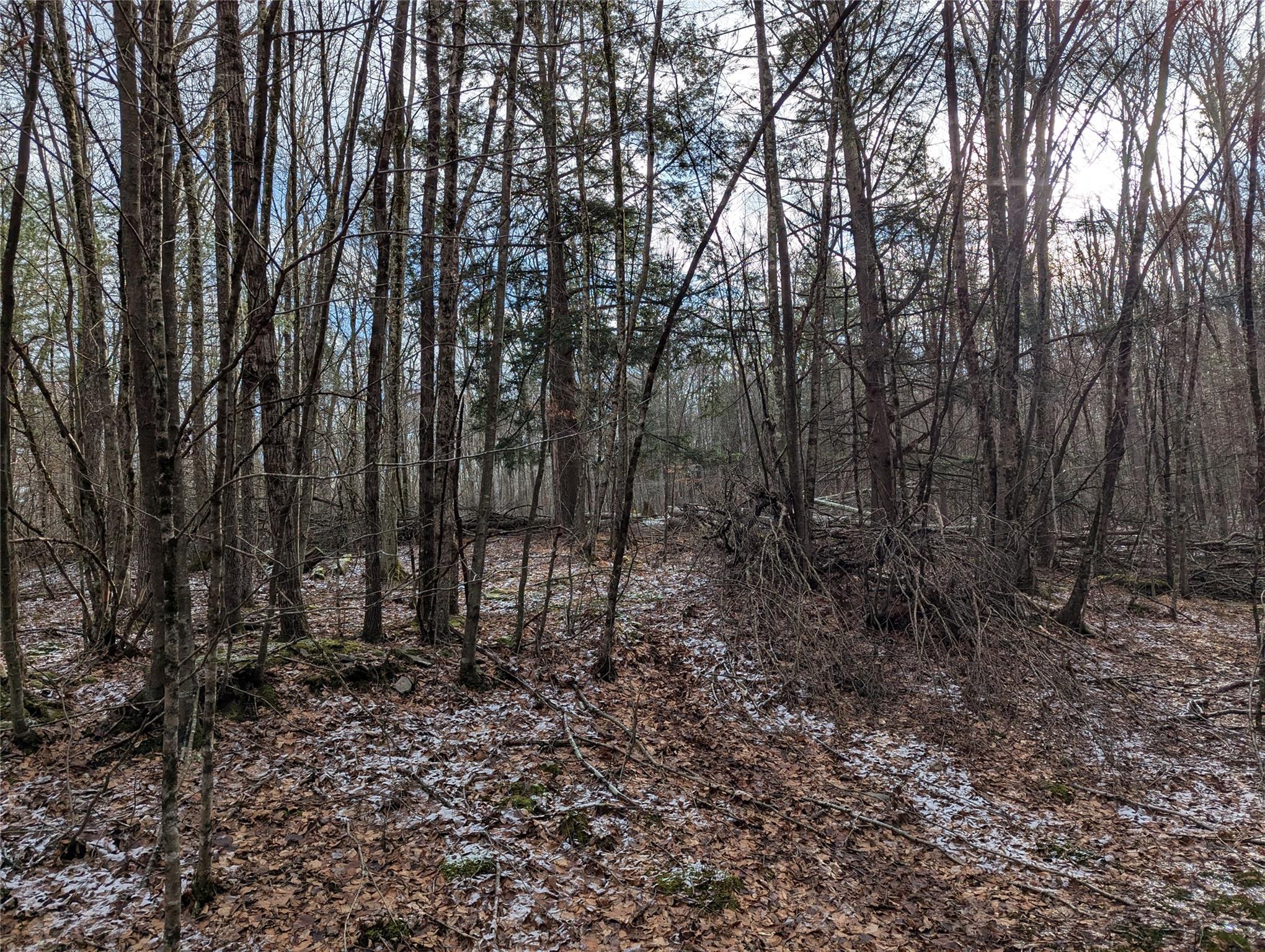 2 South (Foster) 16.-7-1.10 Trail, Narrowsburg, NY 12764