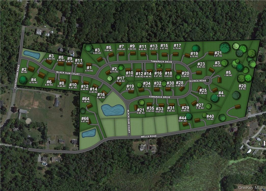 21 Black Gum Court, Newburgh, NY 12550