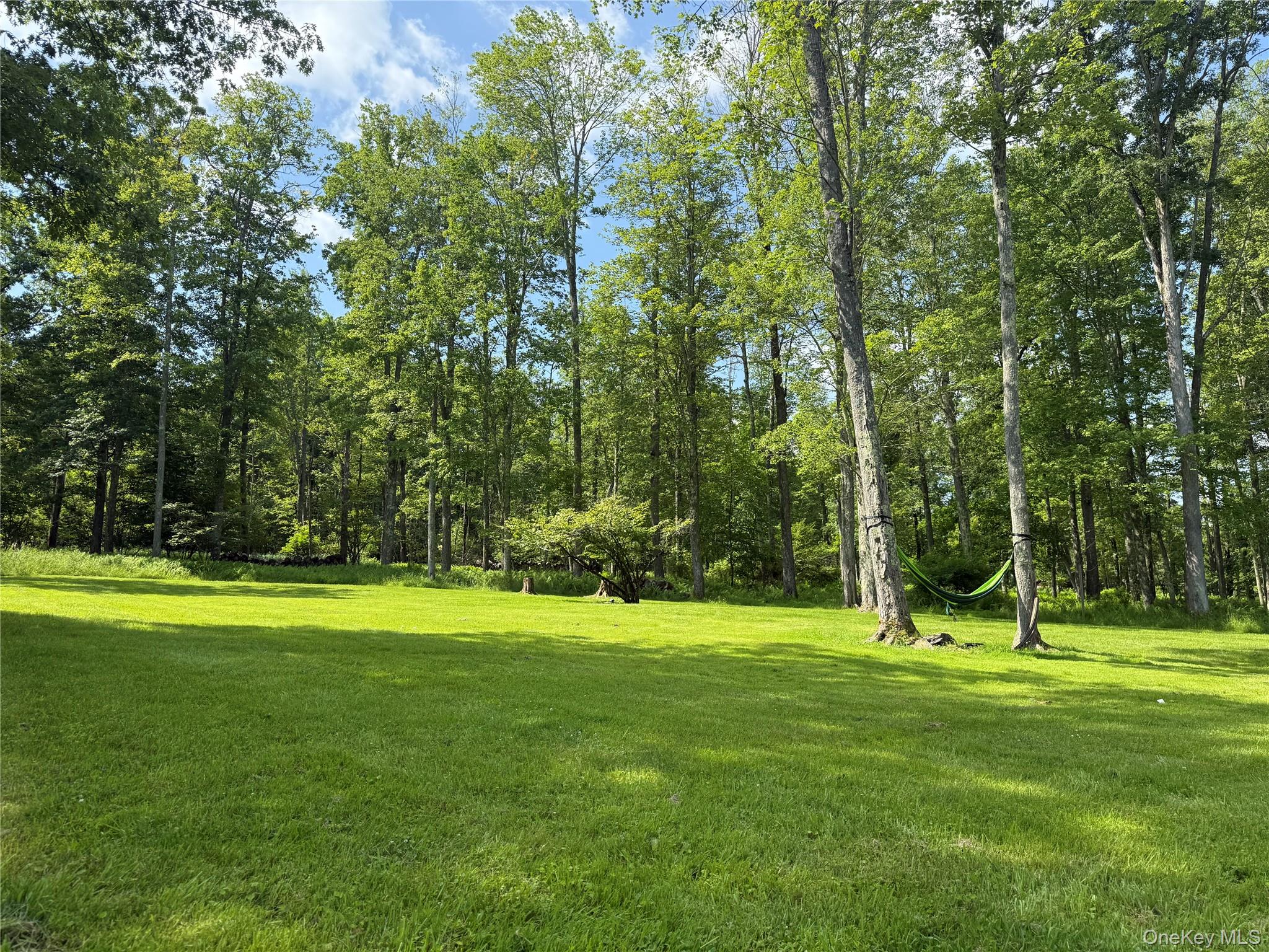 61 Old Cochecton Road, Narrowsburg, NY 12764