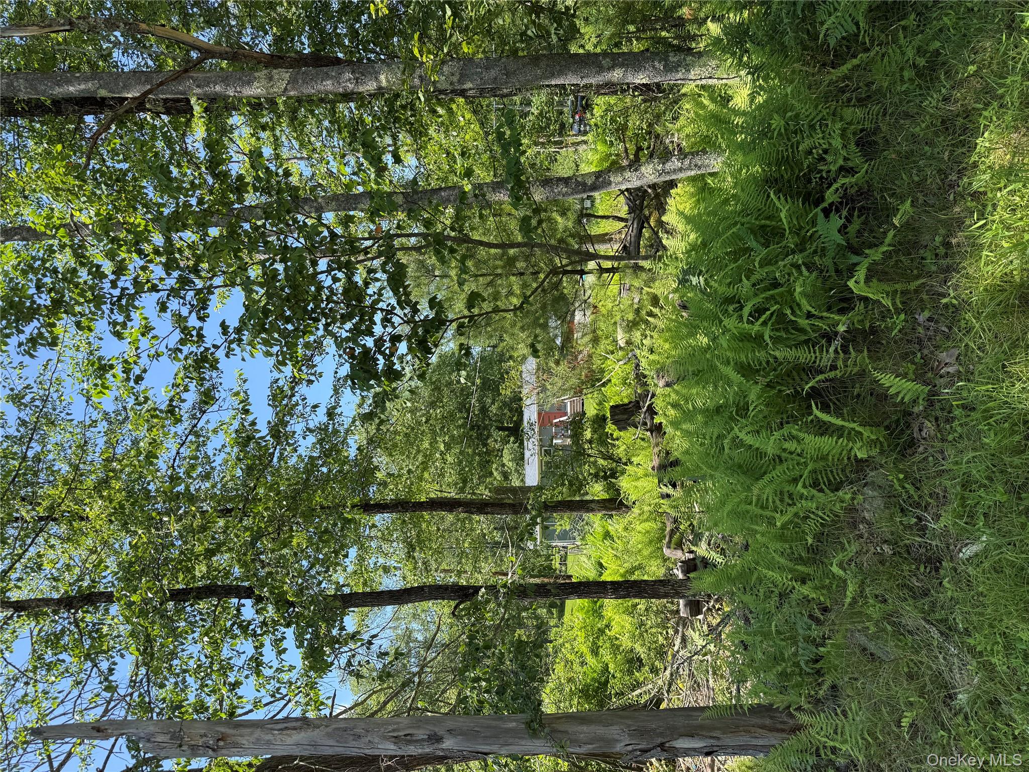 61 Old Cochecton Road, Narrowsburg, NY 12764