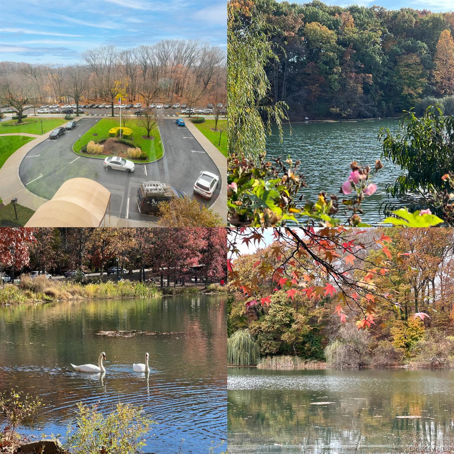 220-55 46 Avenue # 5R, Bayside, NY 11362