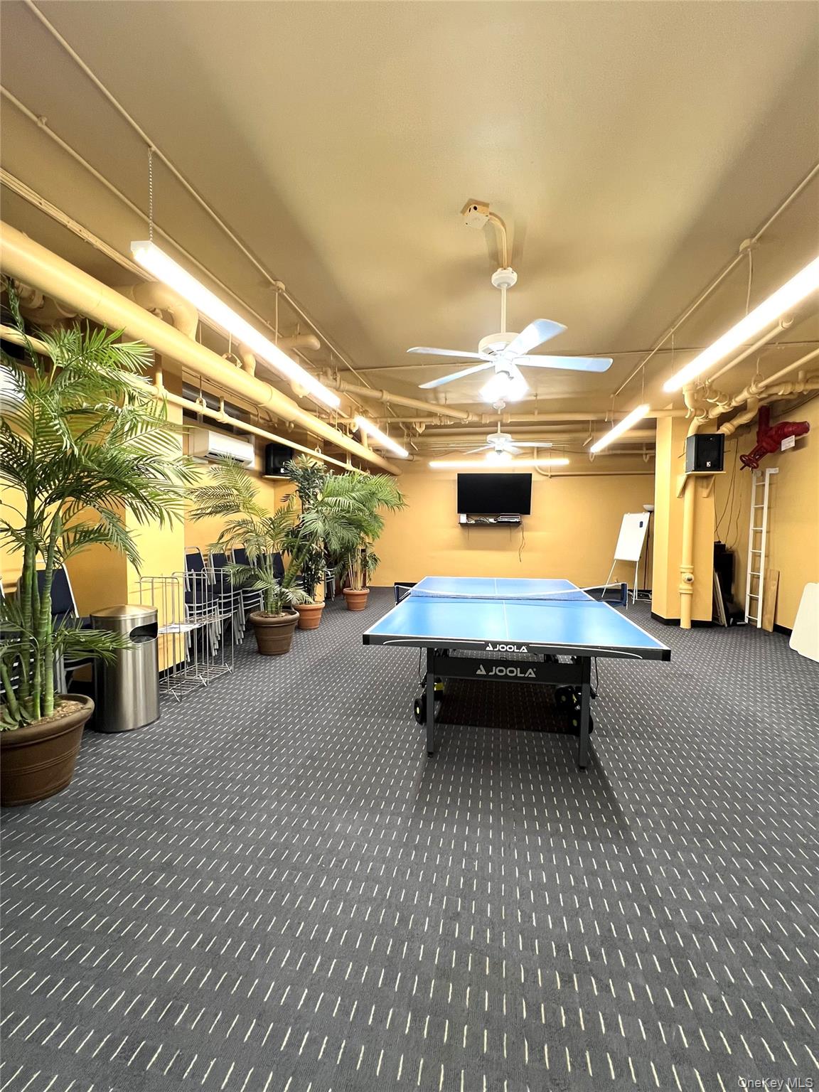 220-55 46 Avenue # 5R, Bayside, NY 11362