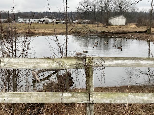 225 Robinson Lane, Wappingers Falls, NY 12590