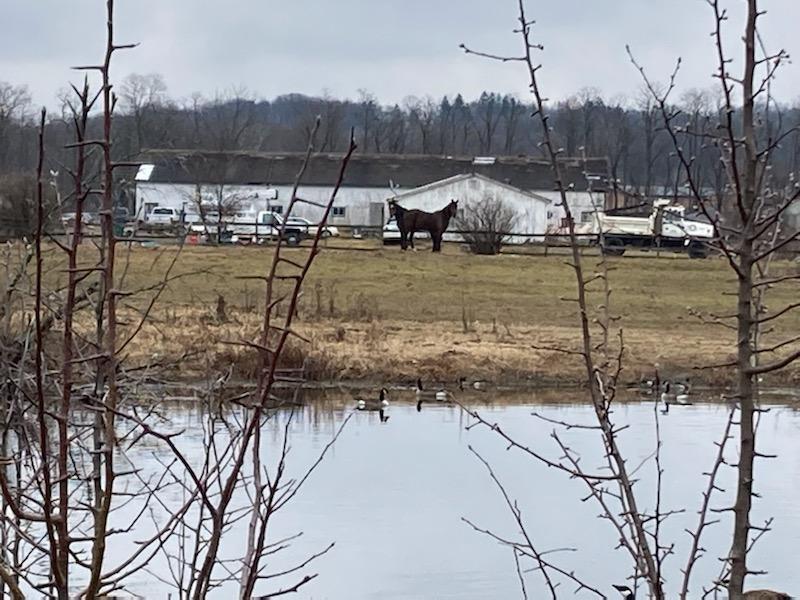 225 Robinson Lane, Wappingers Falls, NY 12590