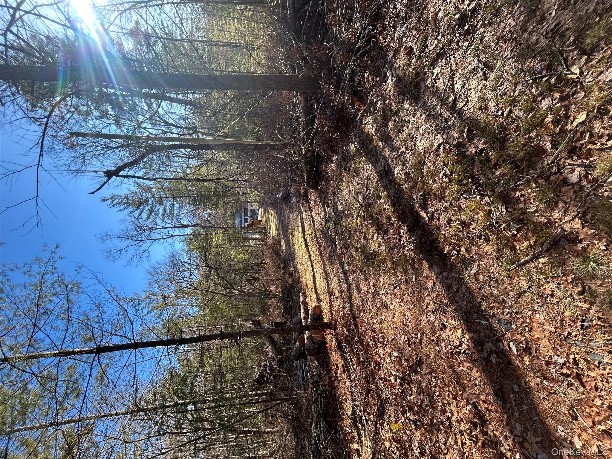 92 Whitehead Road, Sparrowbush, NY 12780