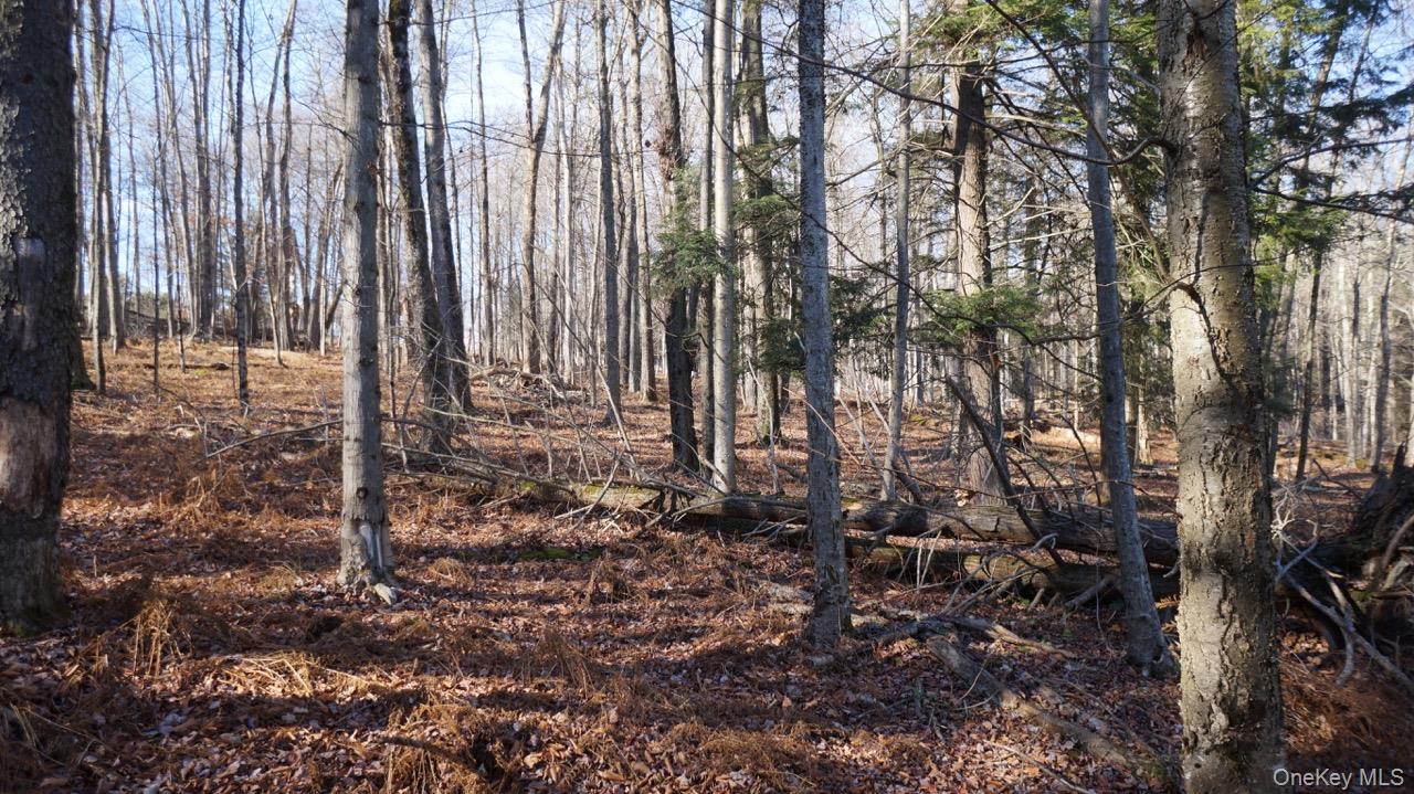 122 Jaketown Road, Swan Lake, NY 12783