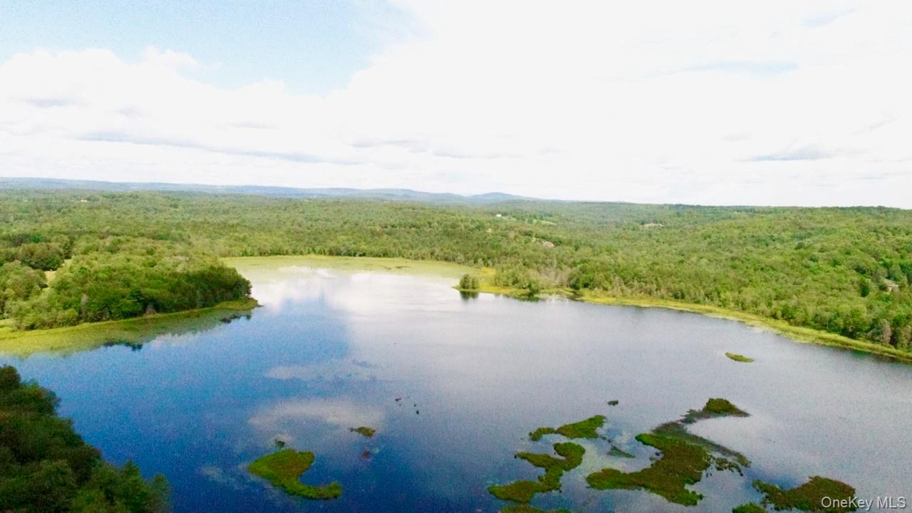 122 Jaketown Road, Swan Lake, NY 12783