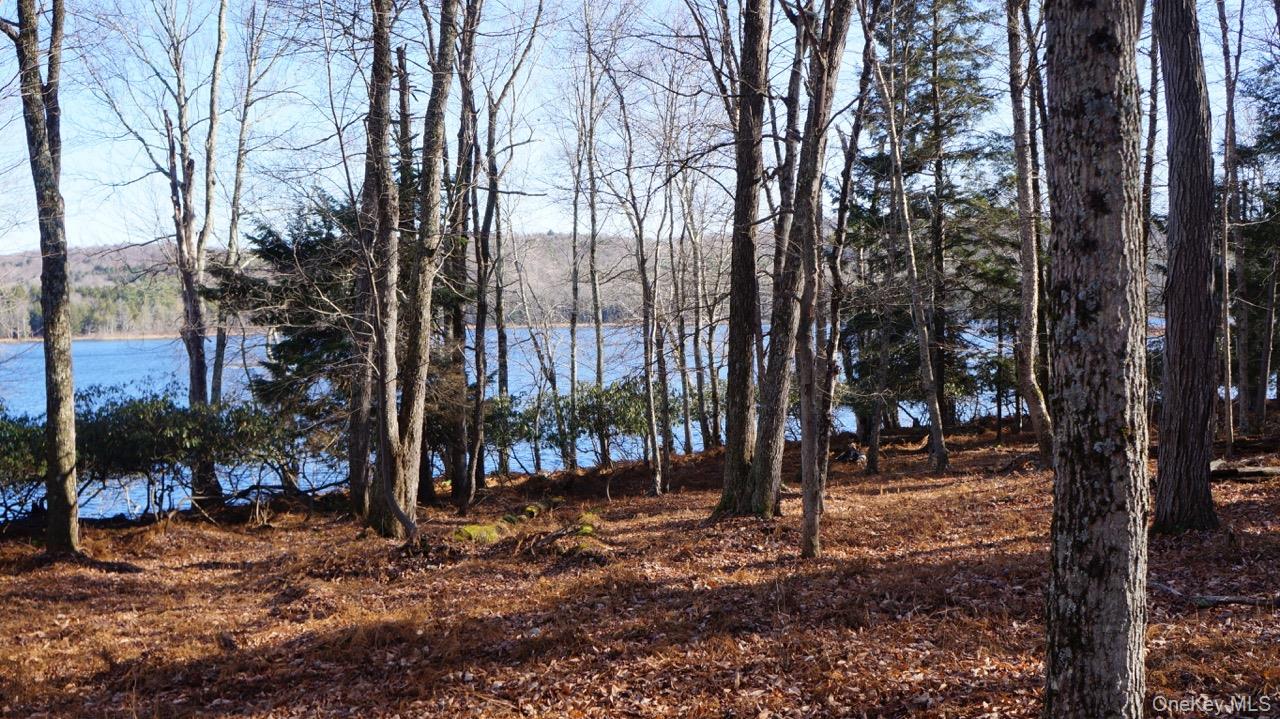 122 Jaketown Road, Swan Lake, NY 12783