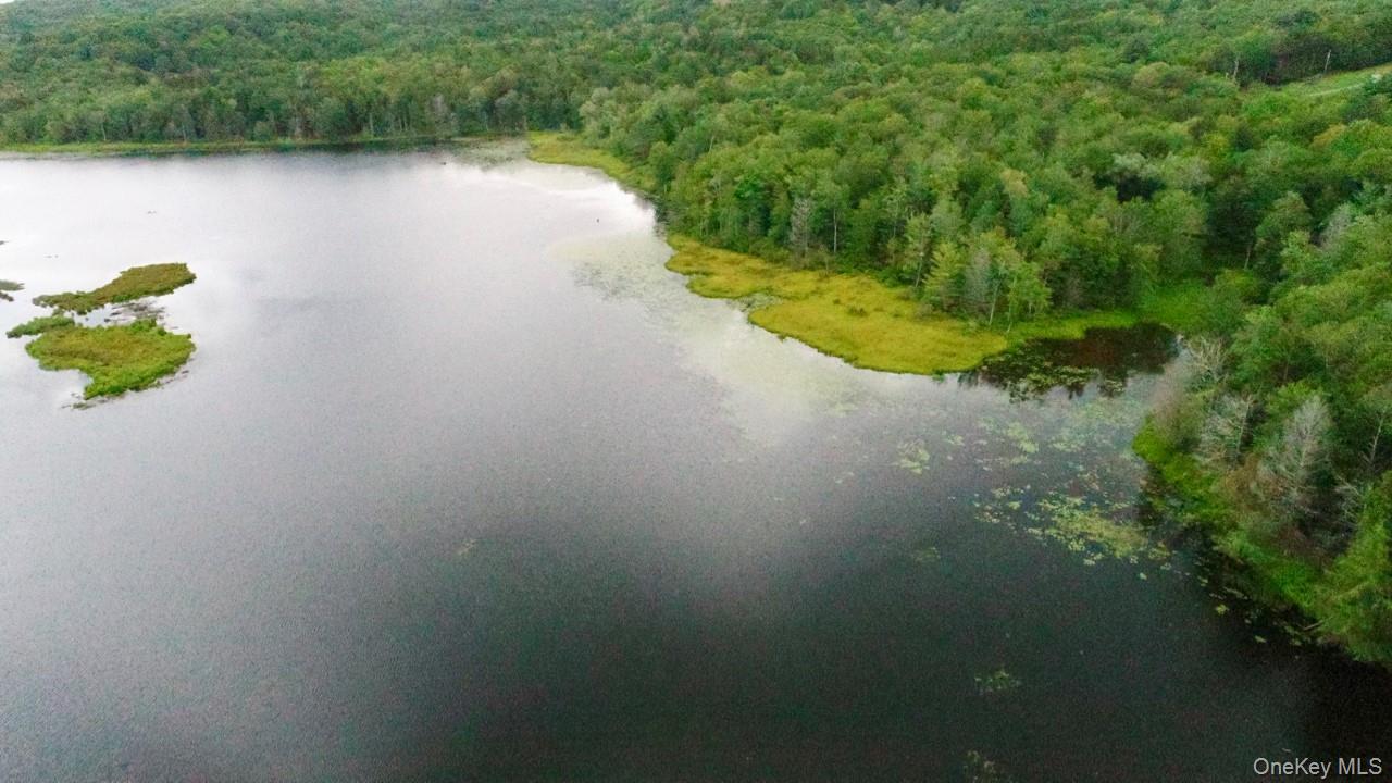 122 Jaketown Road, Swan Lake, NY 12783