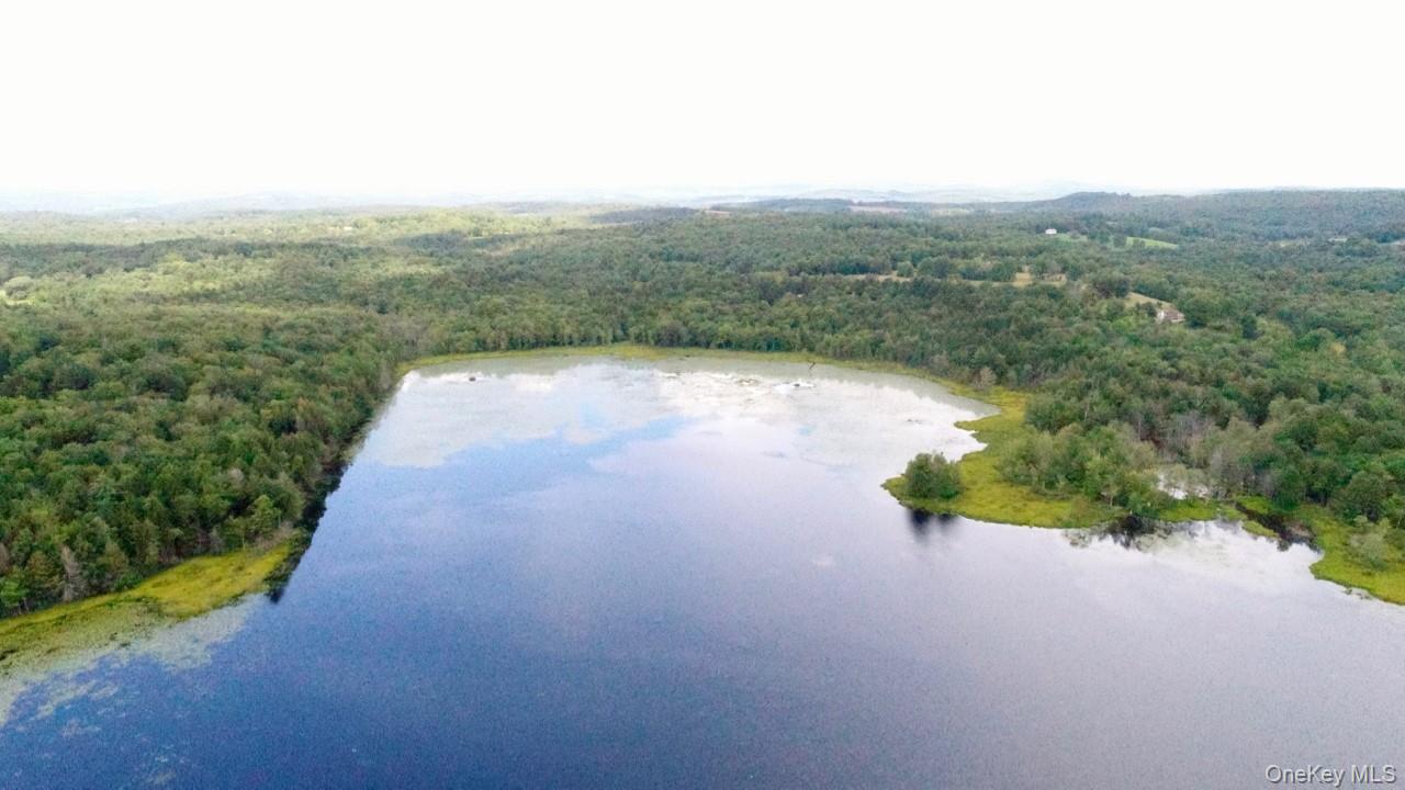 122 Jaketown Road, Swan Lake, NY 12783