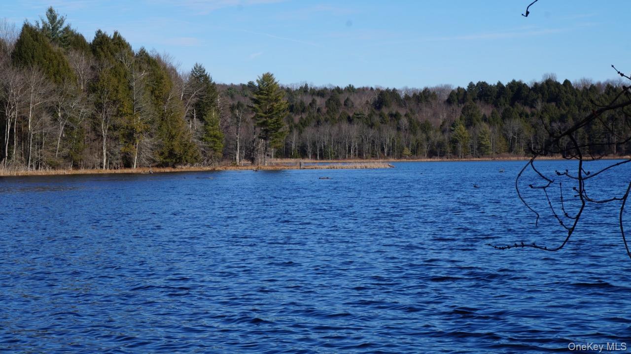 122 Jaketown Road, Swan Lake, NY 12783