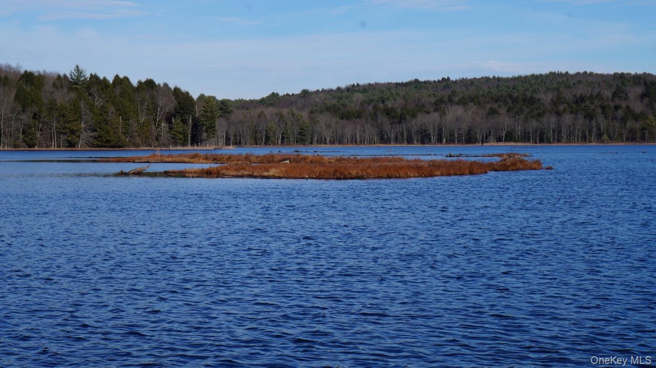 122 Jaketown Road, Swan Lake, NY 12783