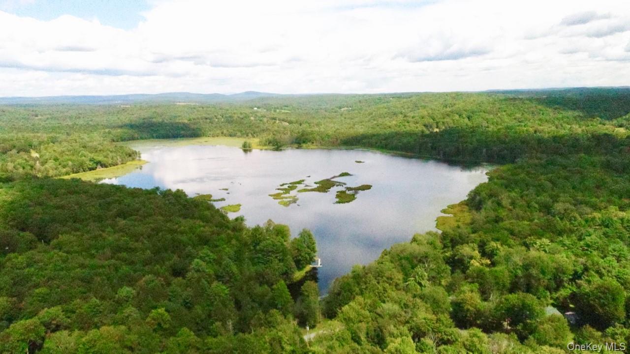 122 Jaketown Road, Swan Lake, NY 12783