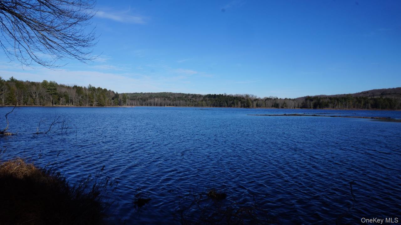 122 Jaketown Road, Swan Lake, NY 12783