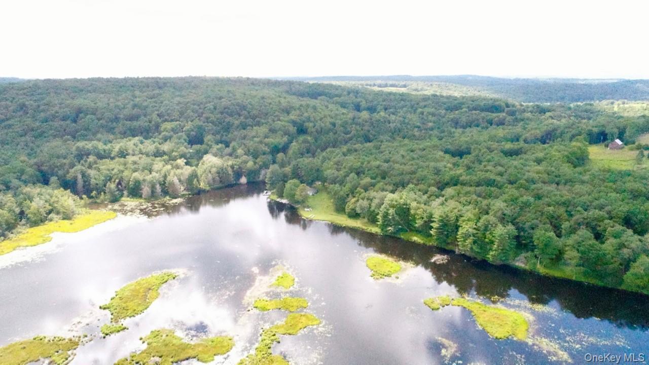 122 Jaketown Road, Swan Lake, NY 12783