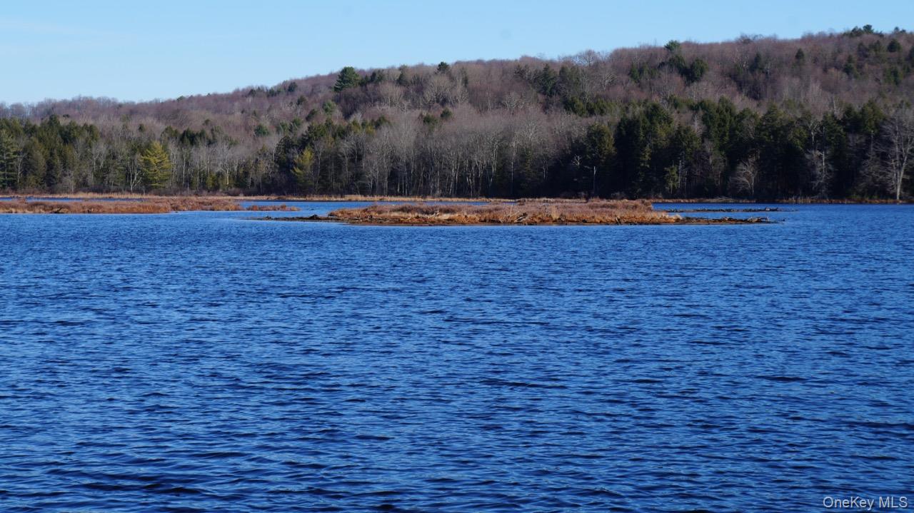 122 Jaketown Road, Swan Lake, NY 12783