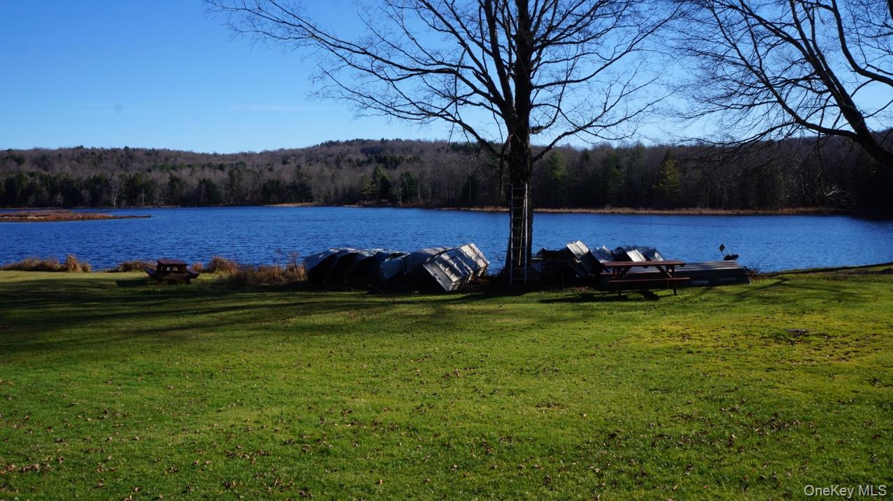 122 Jaketown Road, Swan Lake, NY 12783