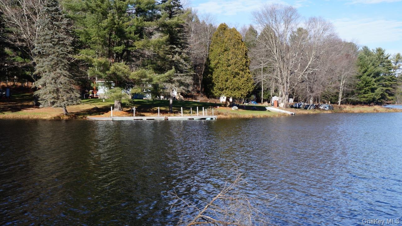 122 Jaketown Road, Swan Lake, NY 12783