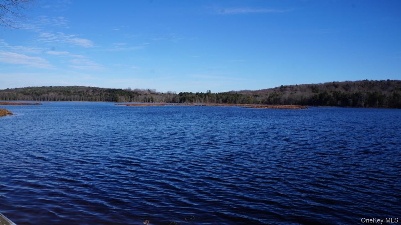 122 Jaketown Road, Swan Lake, NY 12783