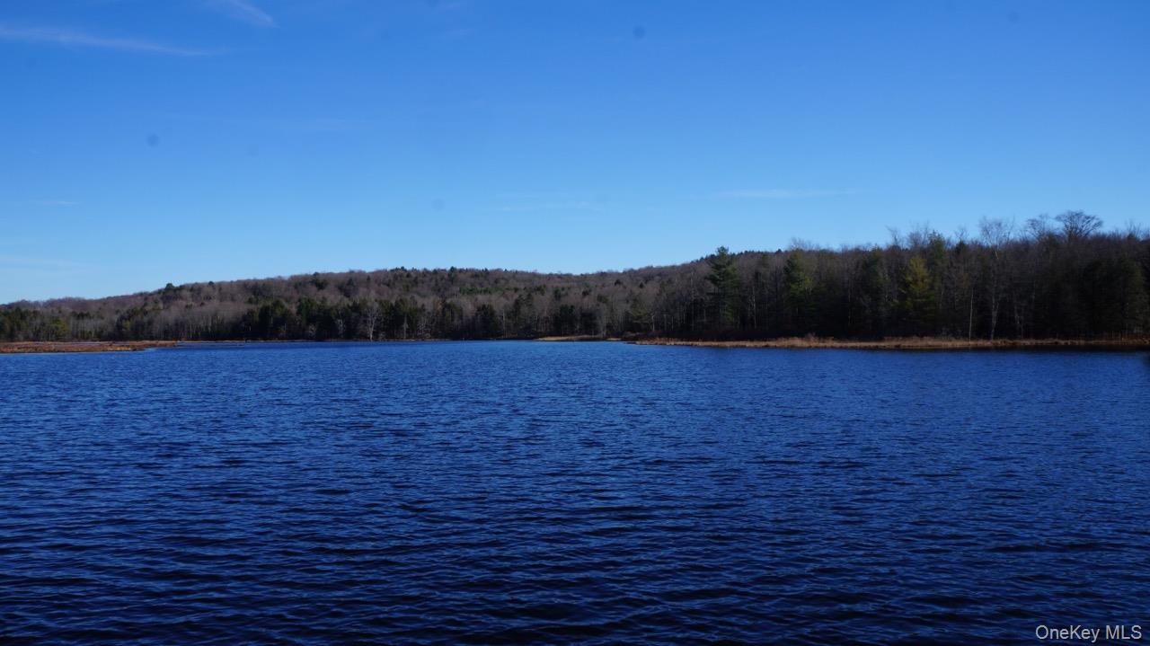 122 Jaketown Road, Swan Lake, NY 12783