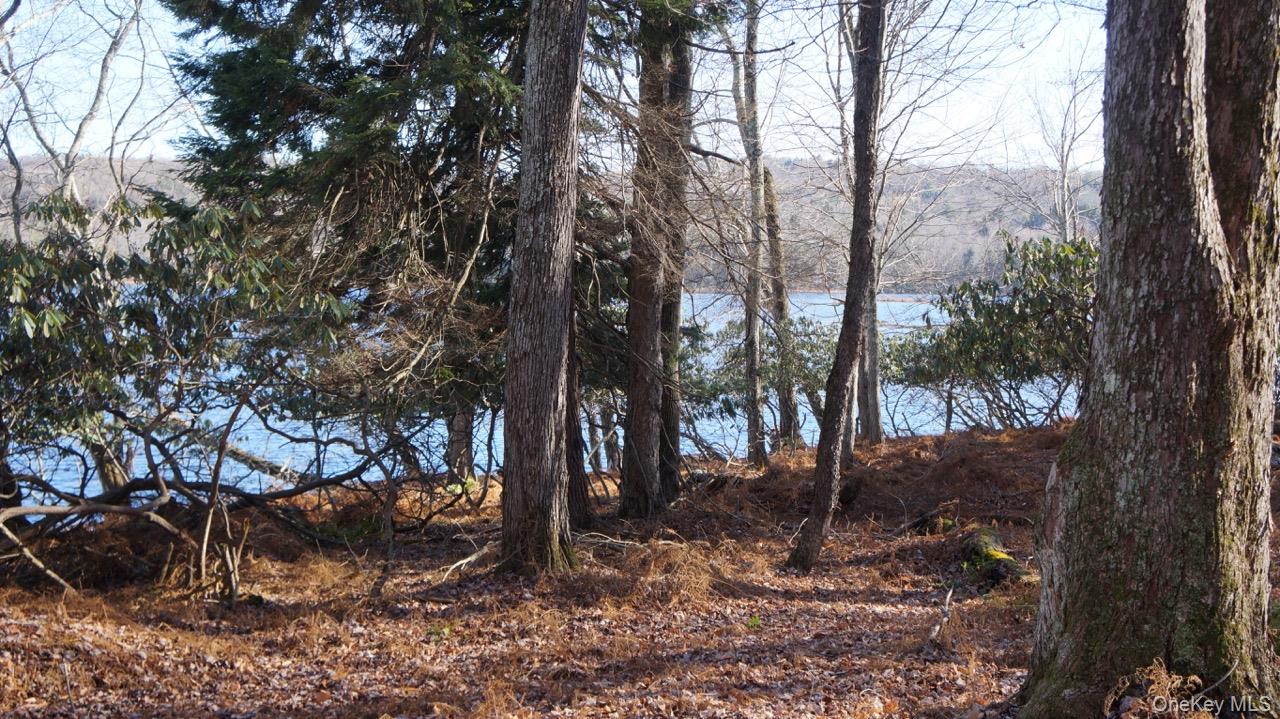 122 Jaketown Road, Swan Lake, NY 12783