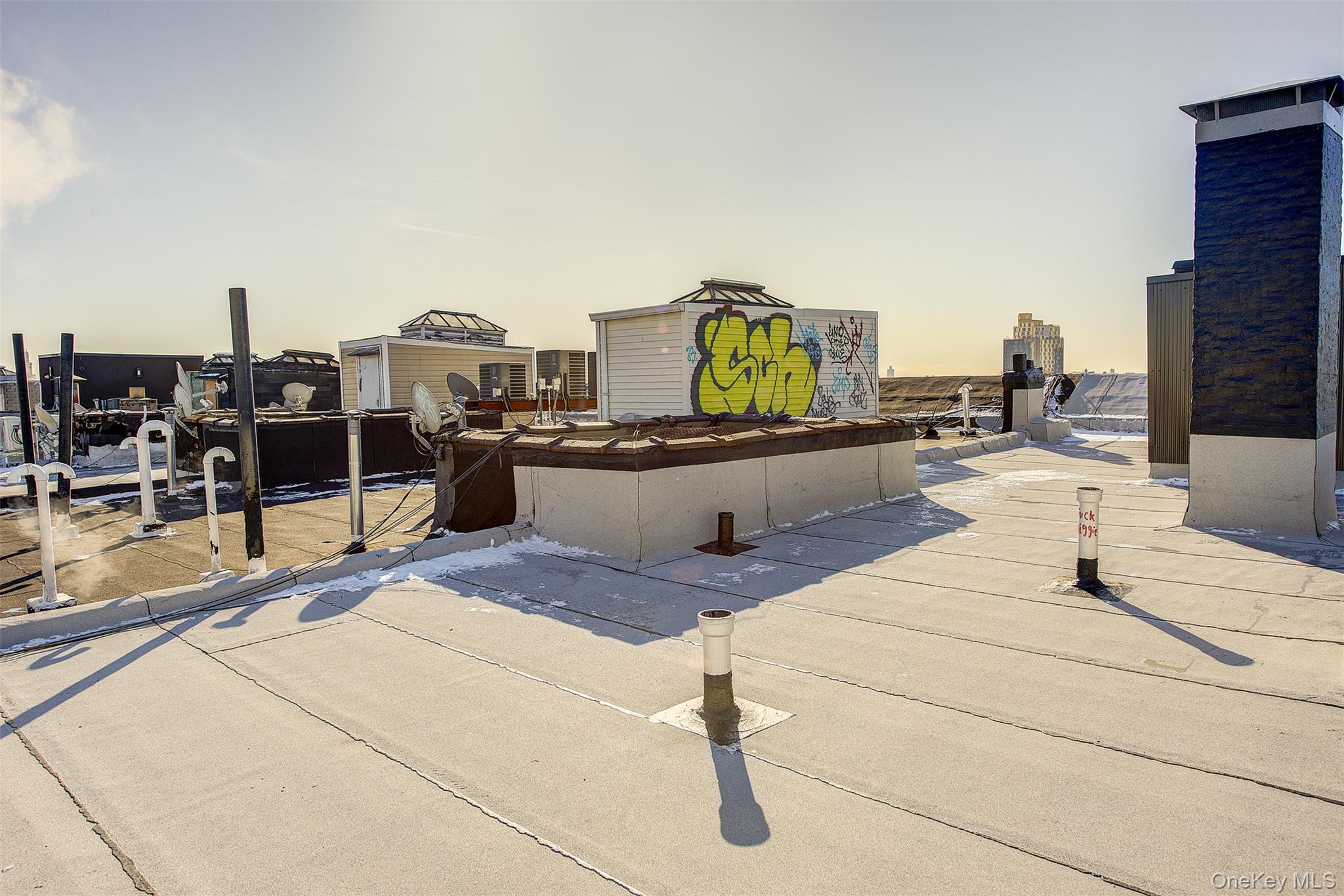 603 WOODWARD Avenue, Ridgewood, NY 11385