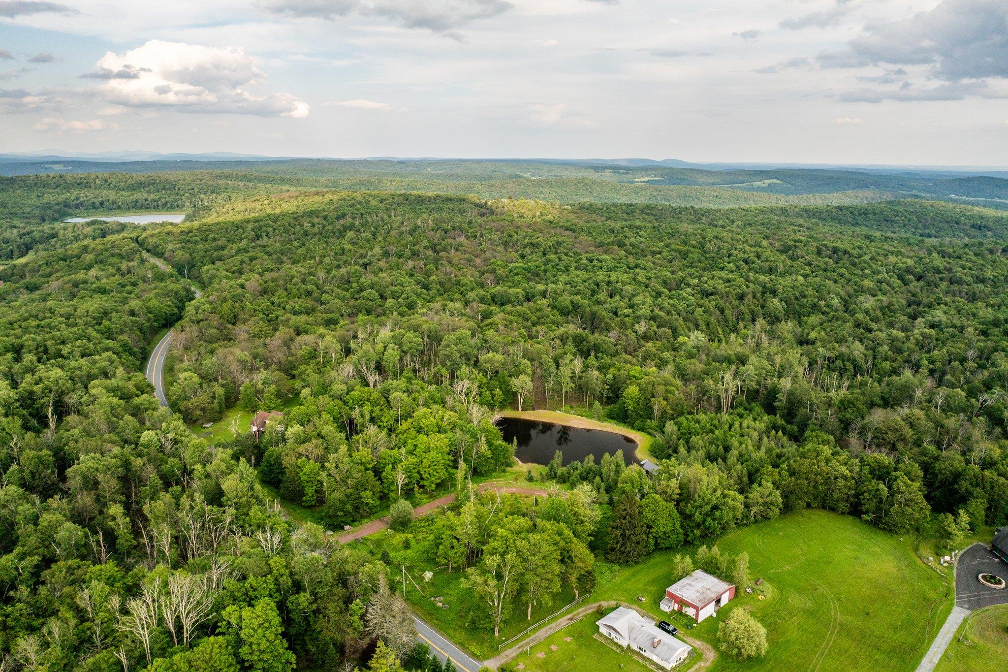 922 Hankins Road, Roscoe, NY 12736