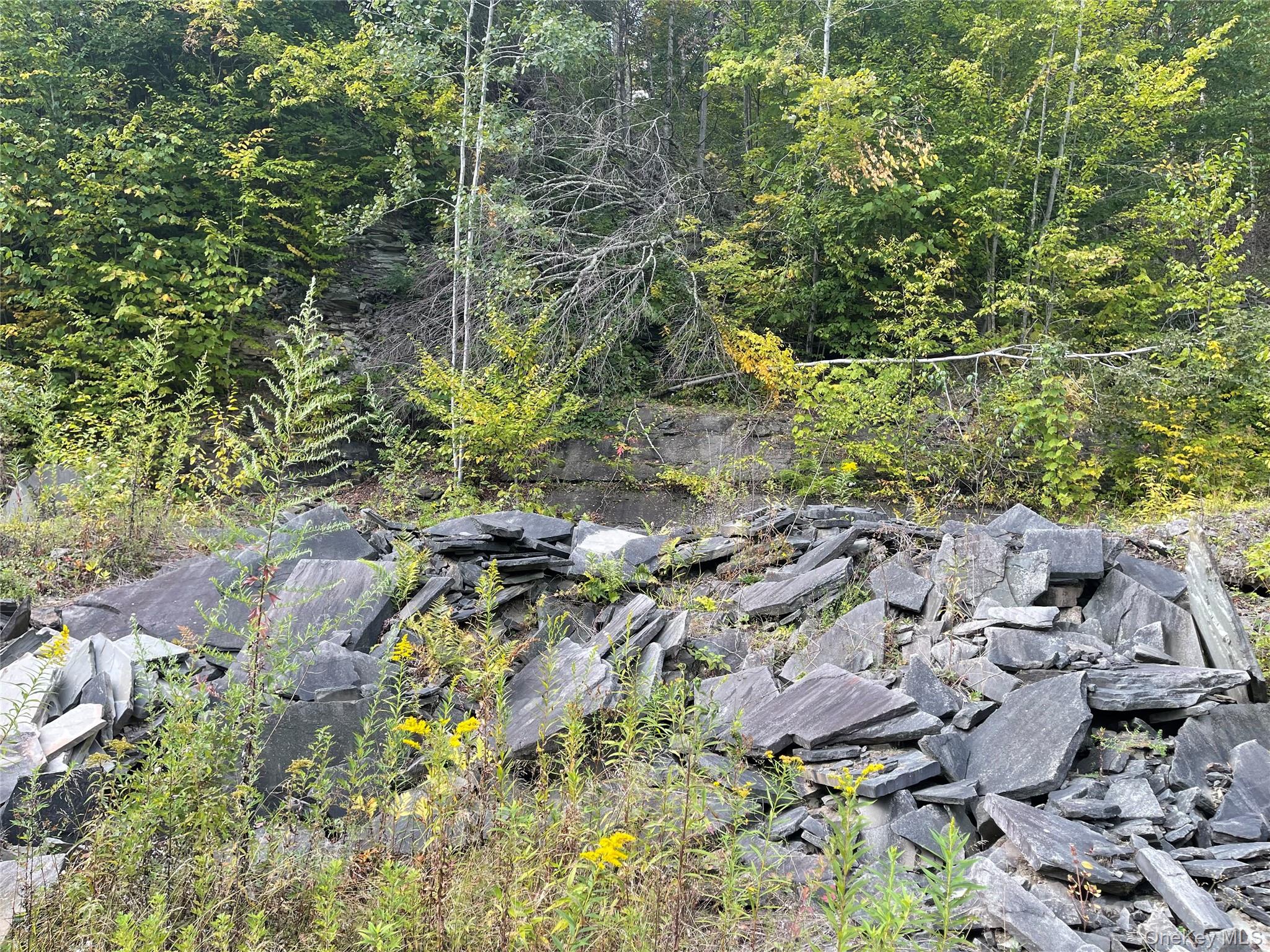 Carcass Brook Spur, Hancock, NY 13783