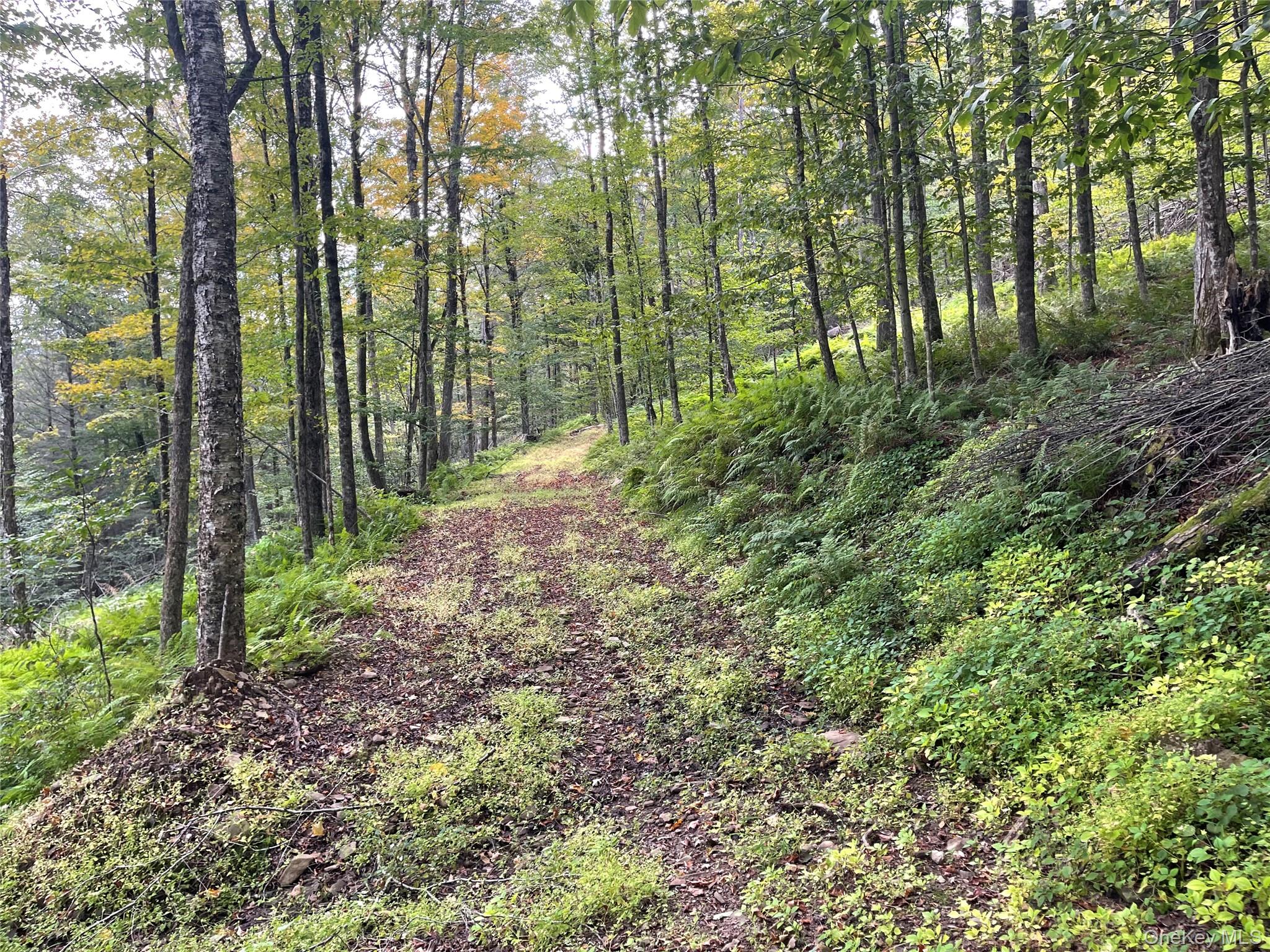 Carcass Brook Spur, Hancock, NY 13783