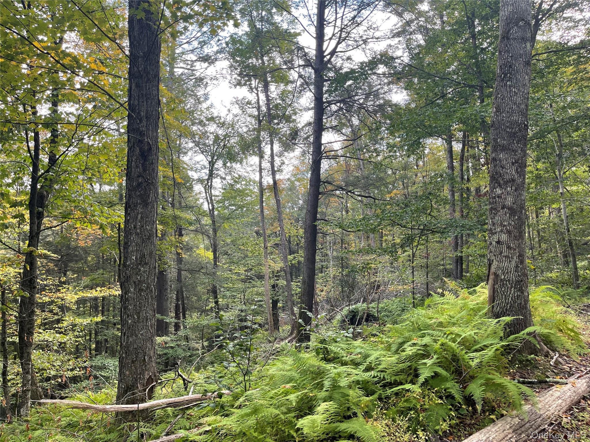 Carcass Brook Spur, Hancock, NY 13783