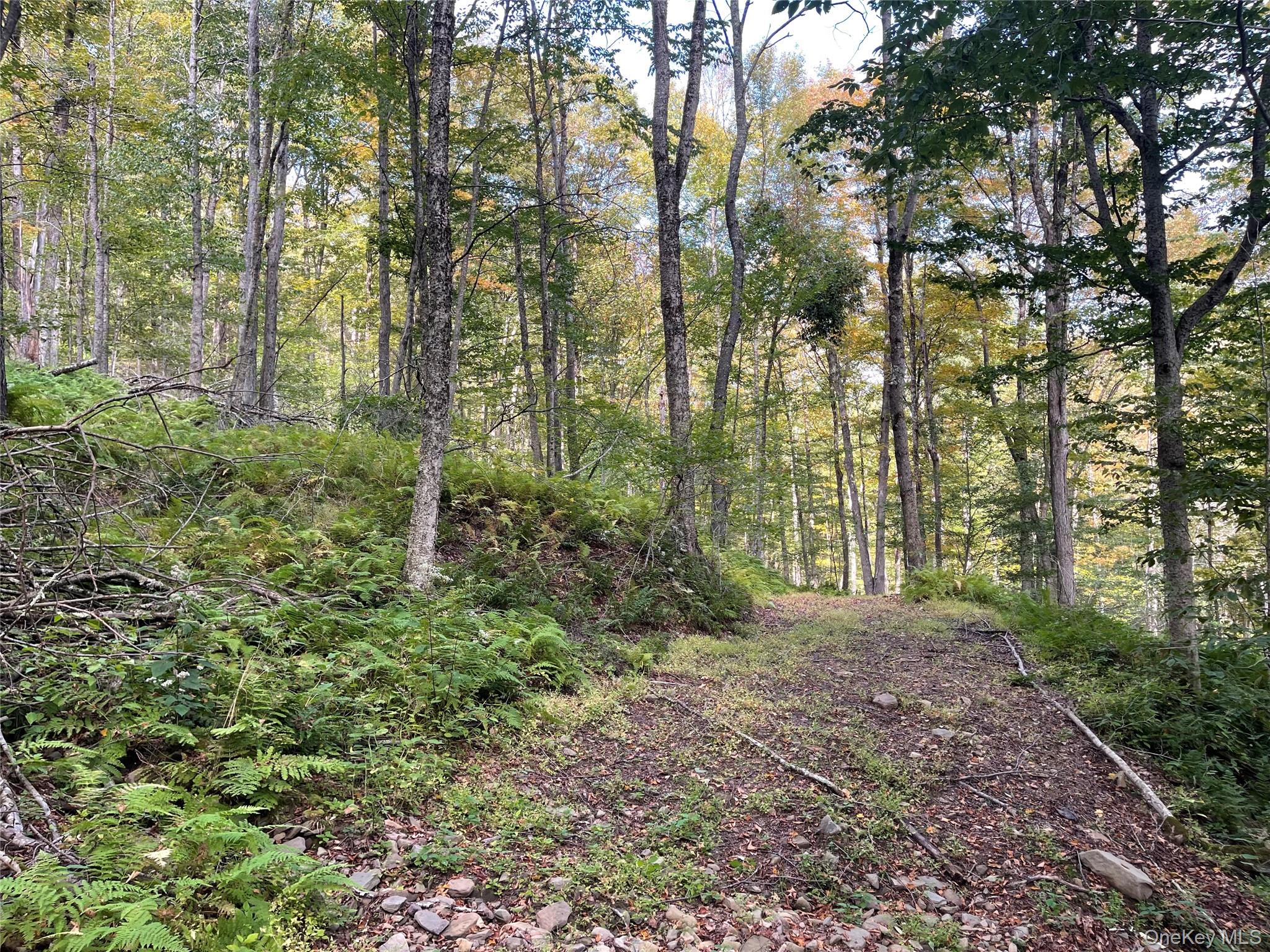 Carcass Brook Spur, Hancock, NY 13783