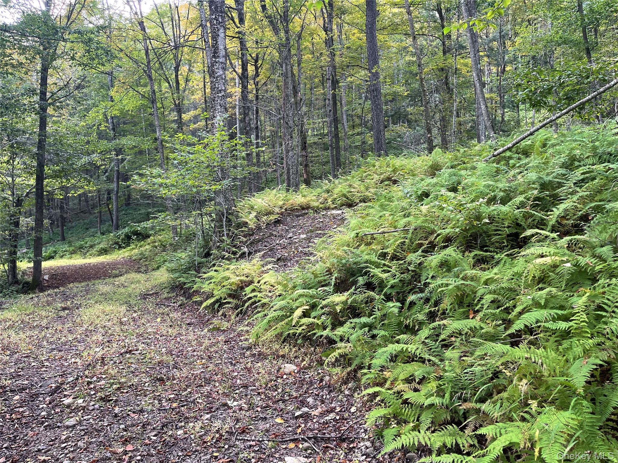 Carcass Brook Spur, Hancock, NY 13783