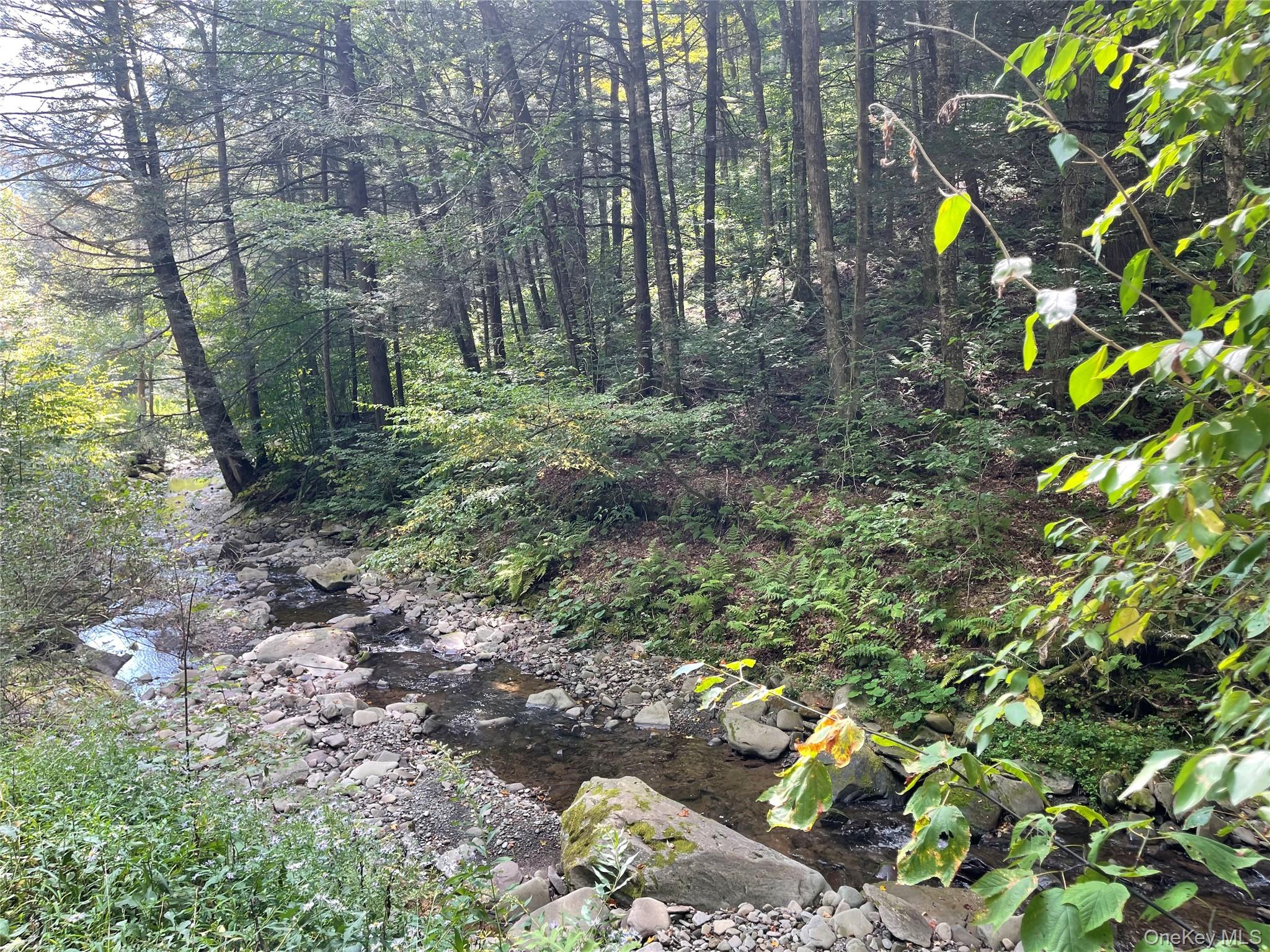 Carcass Brook Spur, Hancock, NY 13783