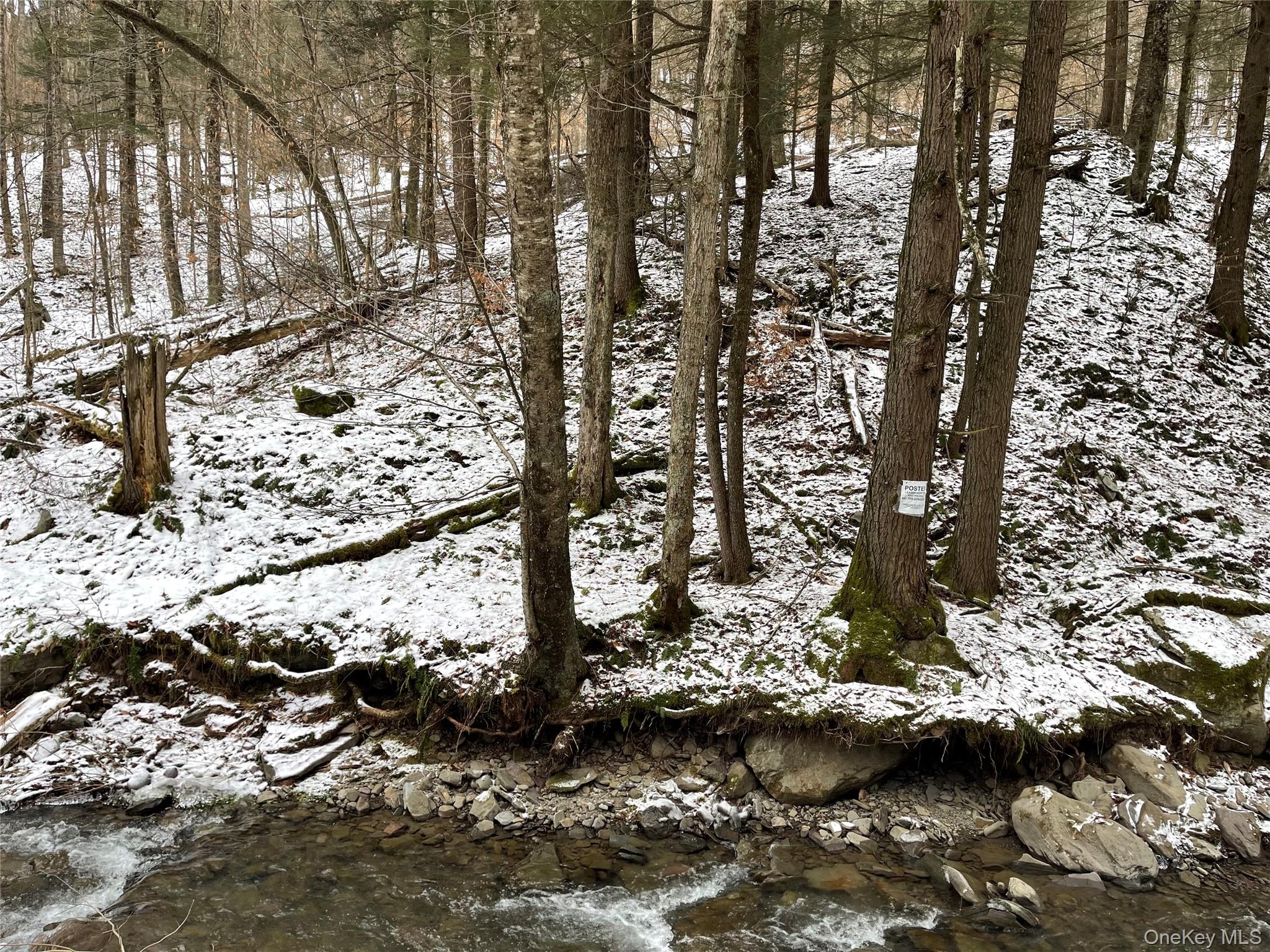 Carcass Brook Spur, Hancock, NY 13783