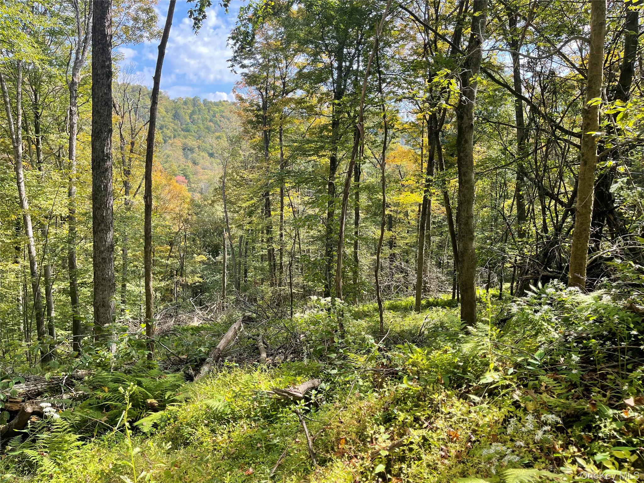 Carcass Brook Spur, Hancock, NY 13783