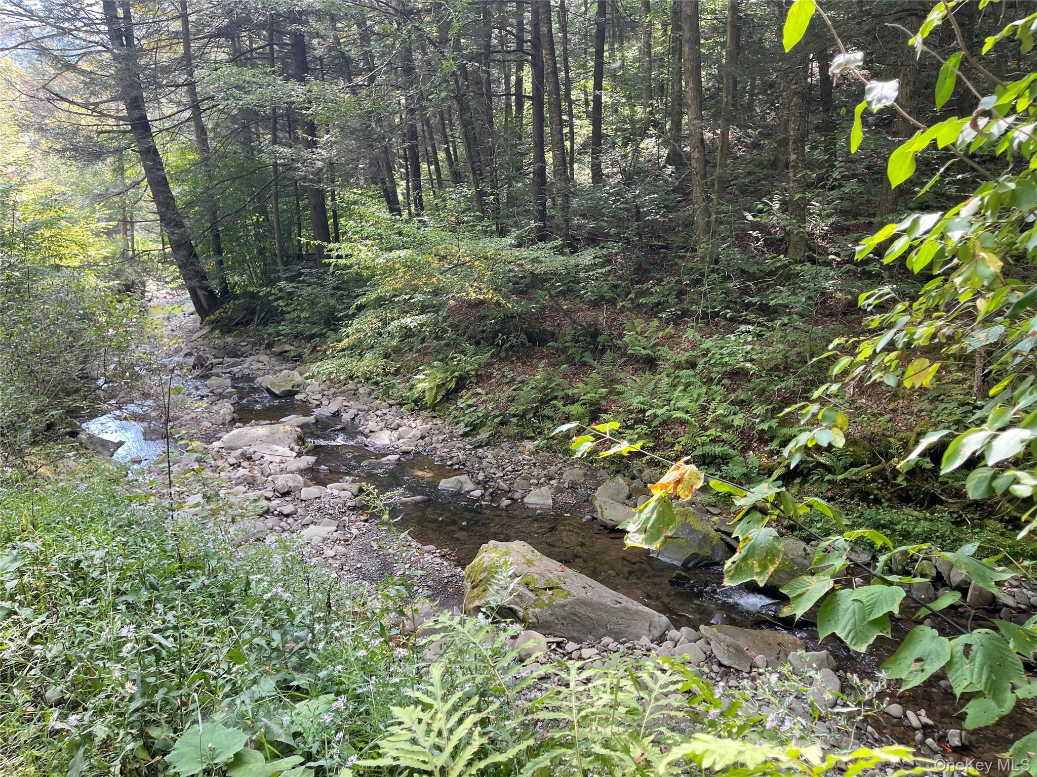 Carcass Brook Spur, Hancock, NY 13783