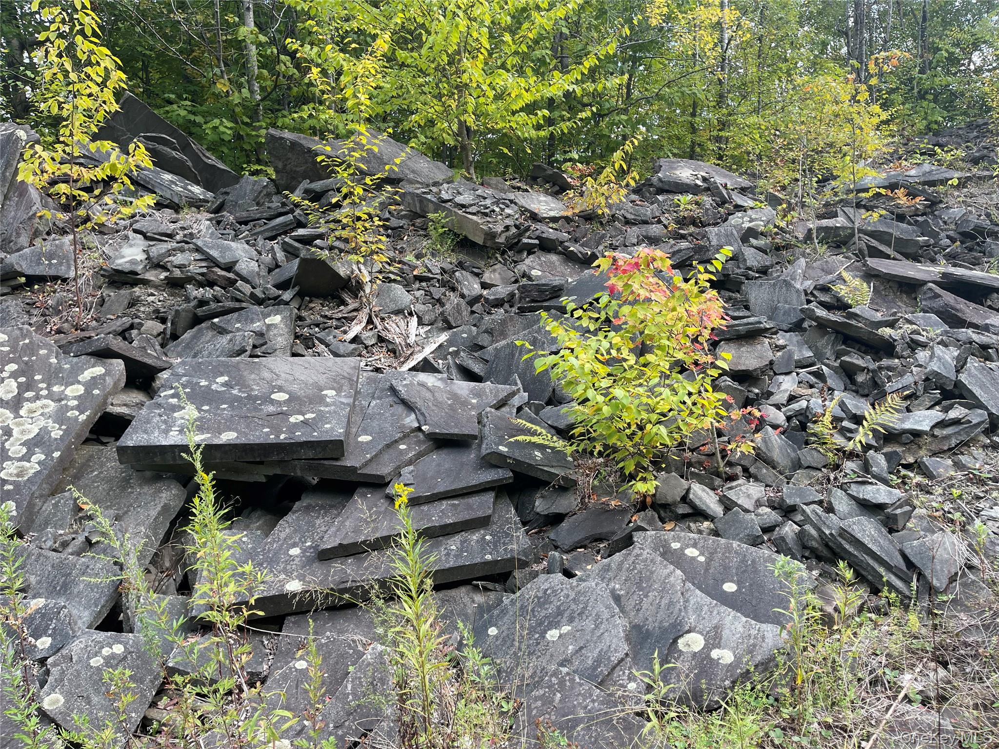 Carcass Brook Spur, Hancock, NY 13783