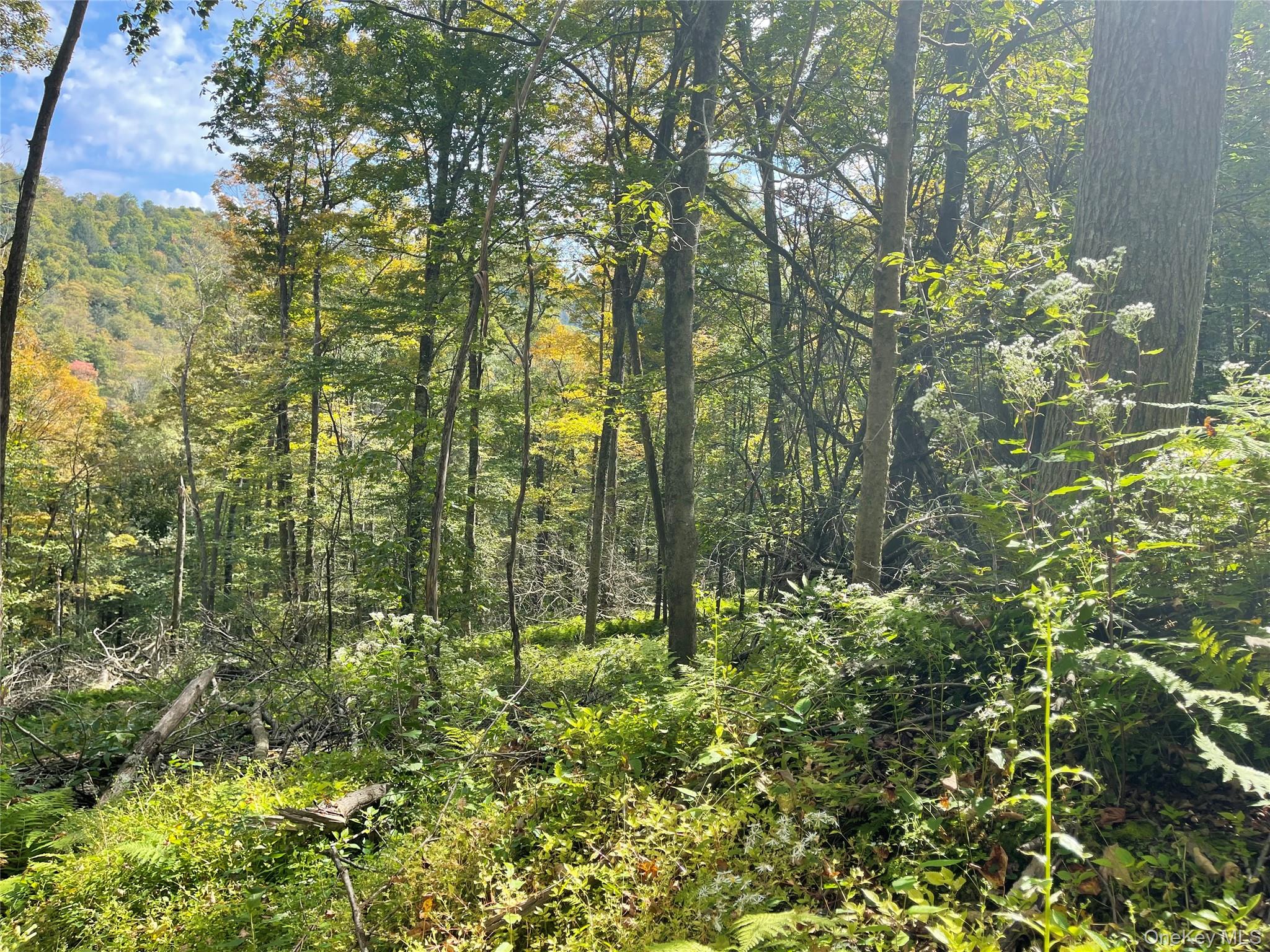 Carcass Brook Spur, Hancock, NY 13783