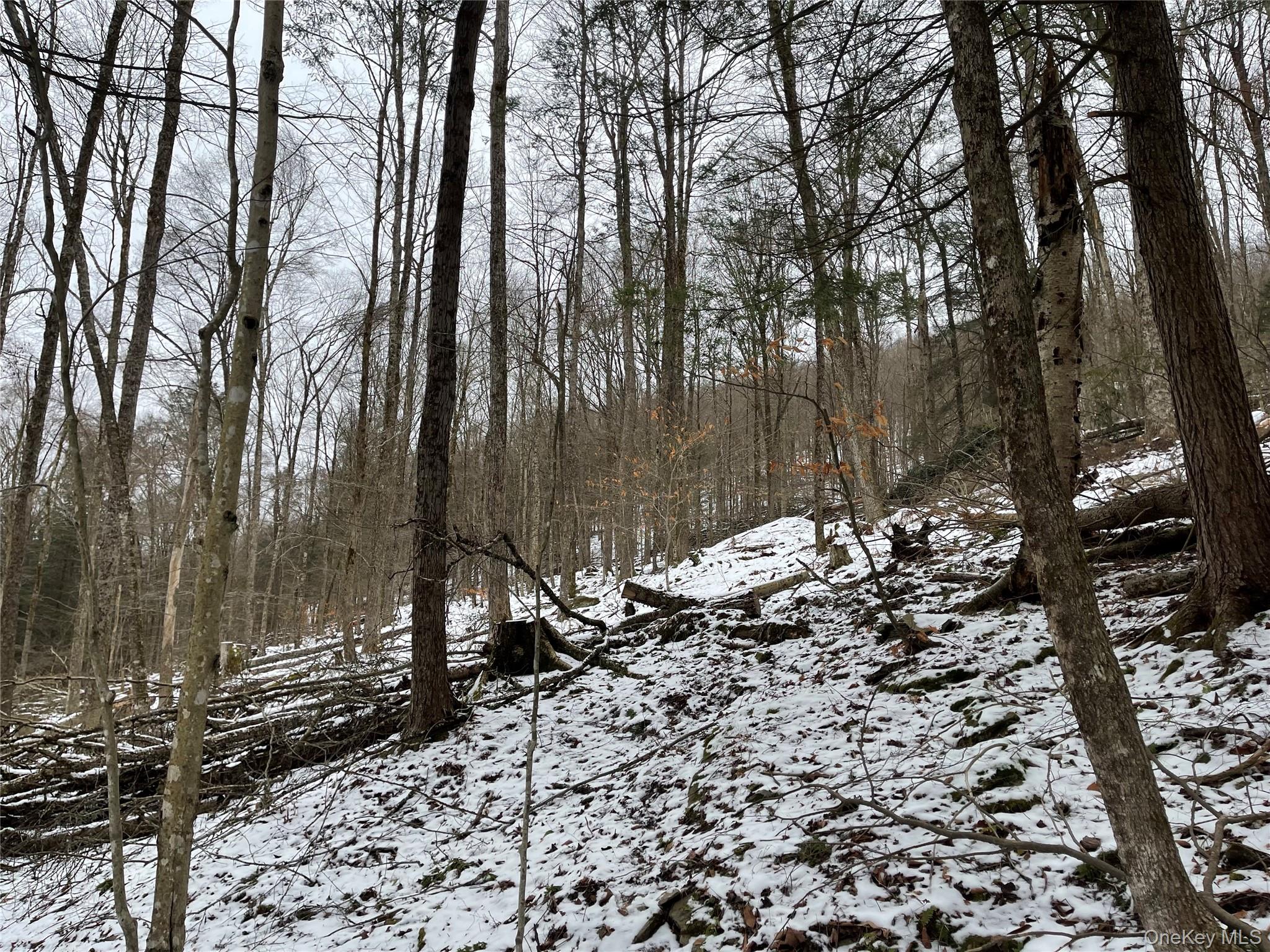 Carcass Brook Spur, Hancock, NY 13783