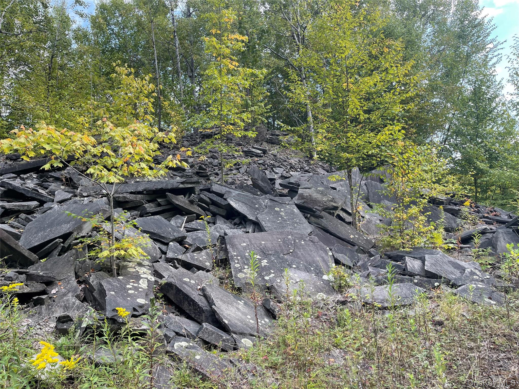 Carcass Brook Spur, Hancock, NY 13783