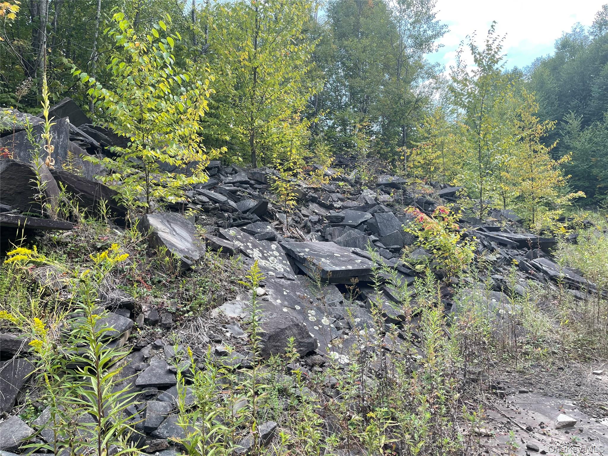 Carcass Brook Spur, Hancock, NY 13783