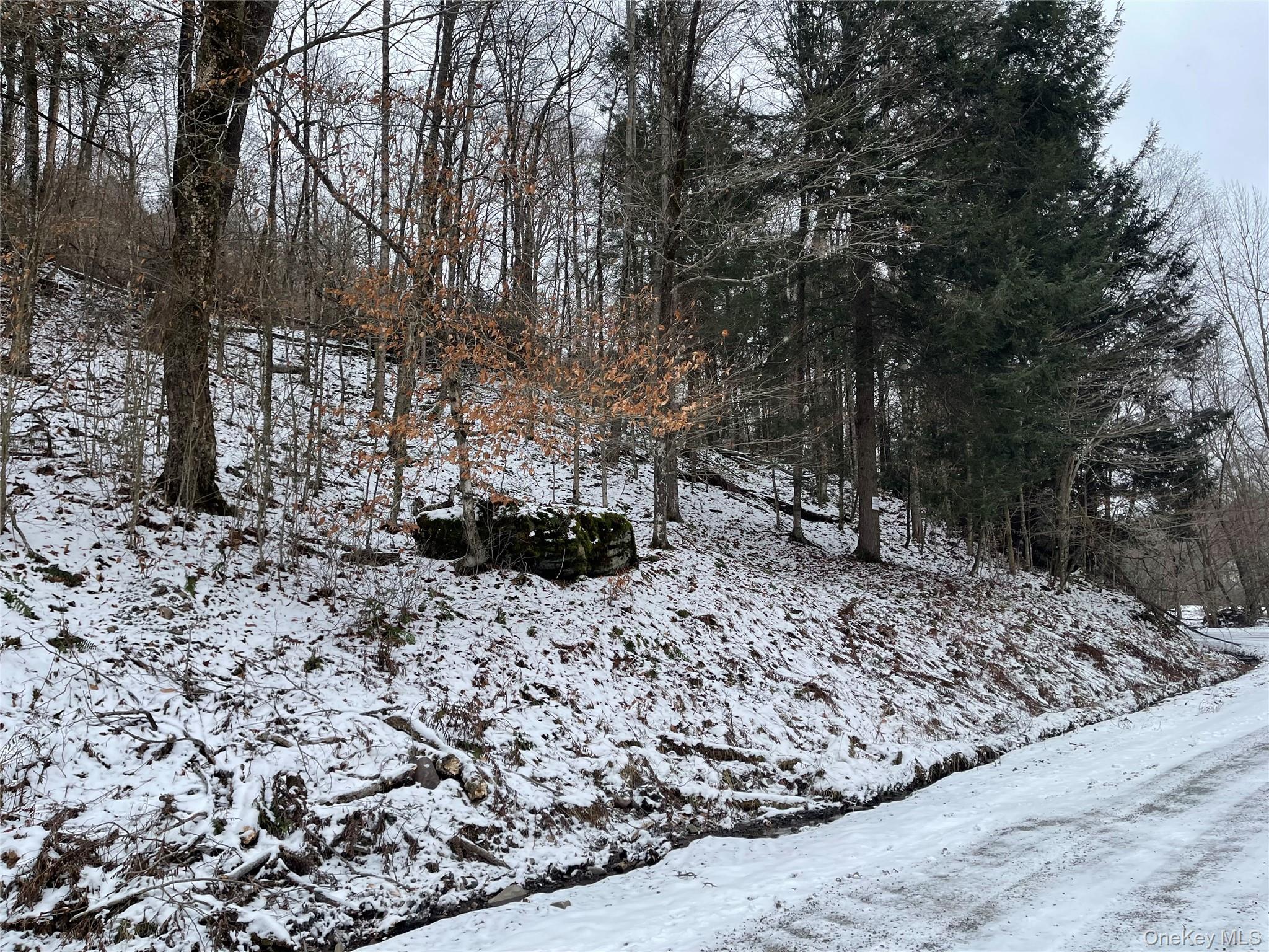 Carcass Brook Spur, Hancock, NY 13783