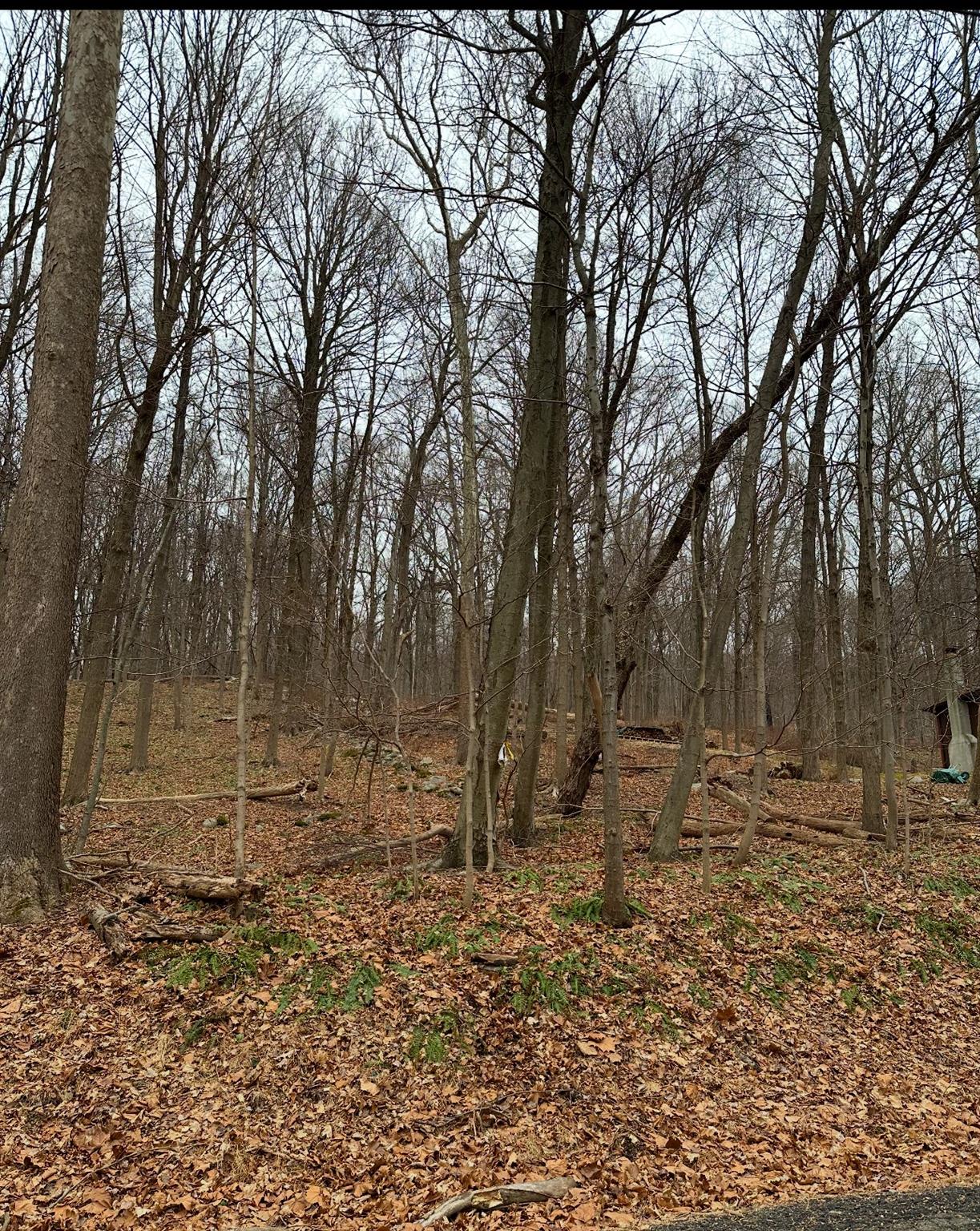 12 Laura Lane, Hopewell Junction, NY 12533