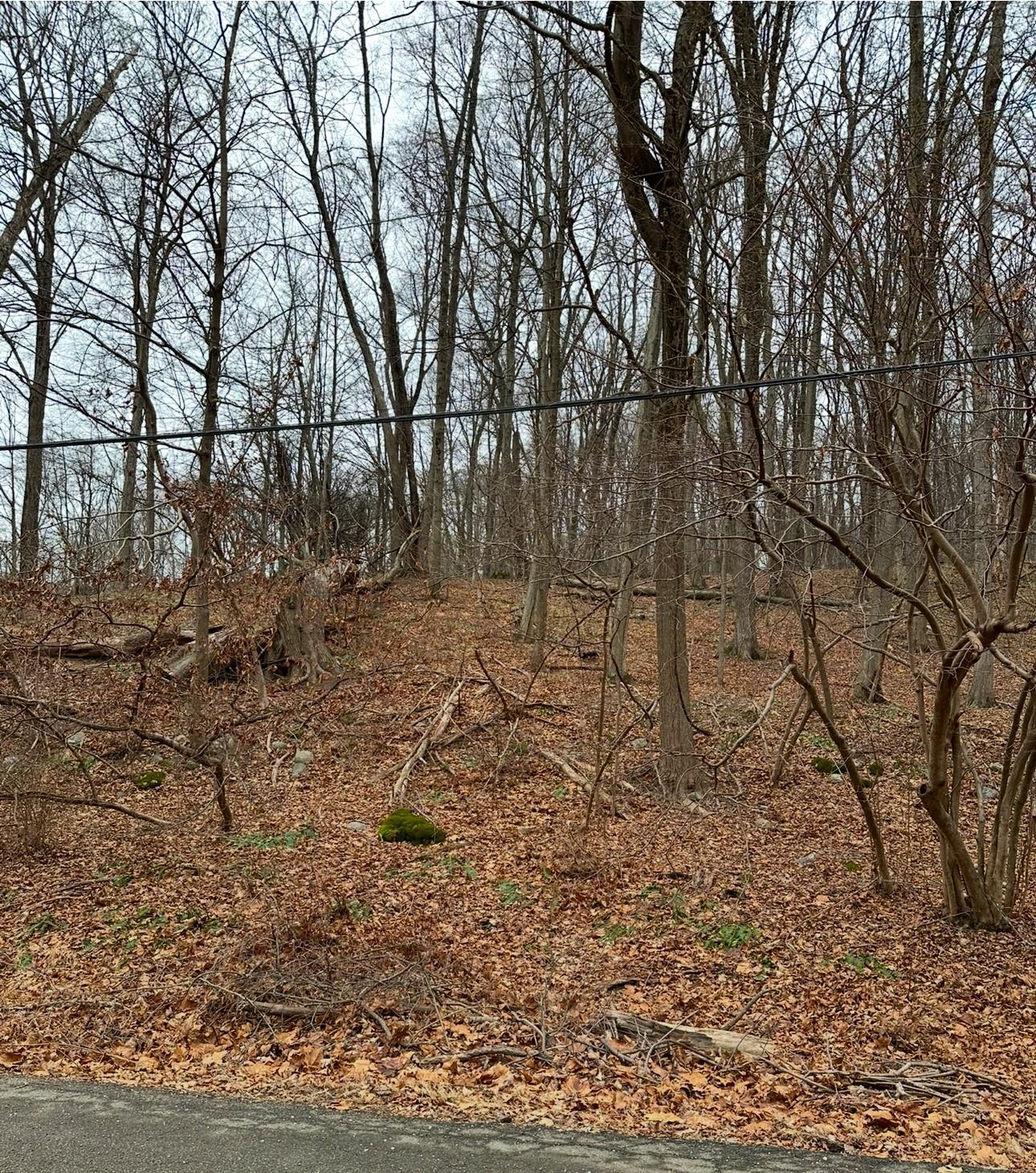 12 Laura Lane, Hopewell Junction, NY 12533