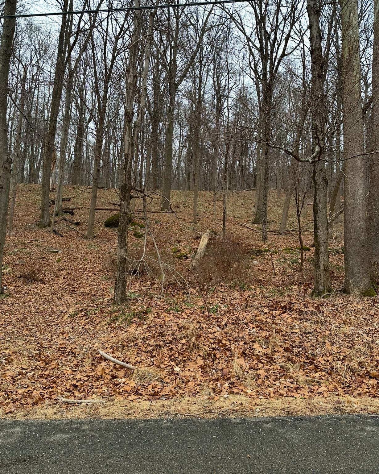 16 Laura Lane, Hopewell Junction, NY 12533