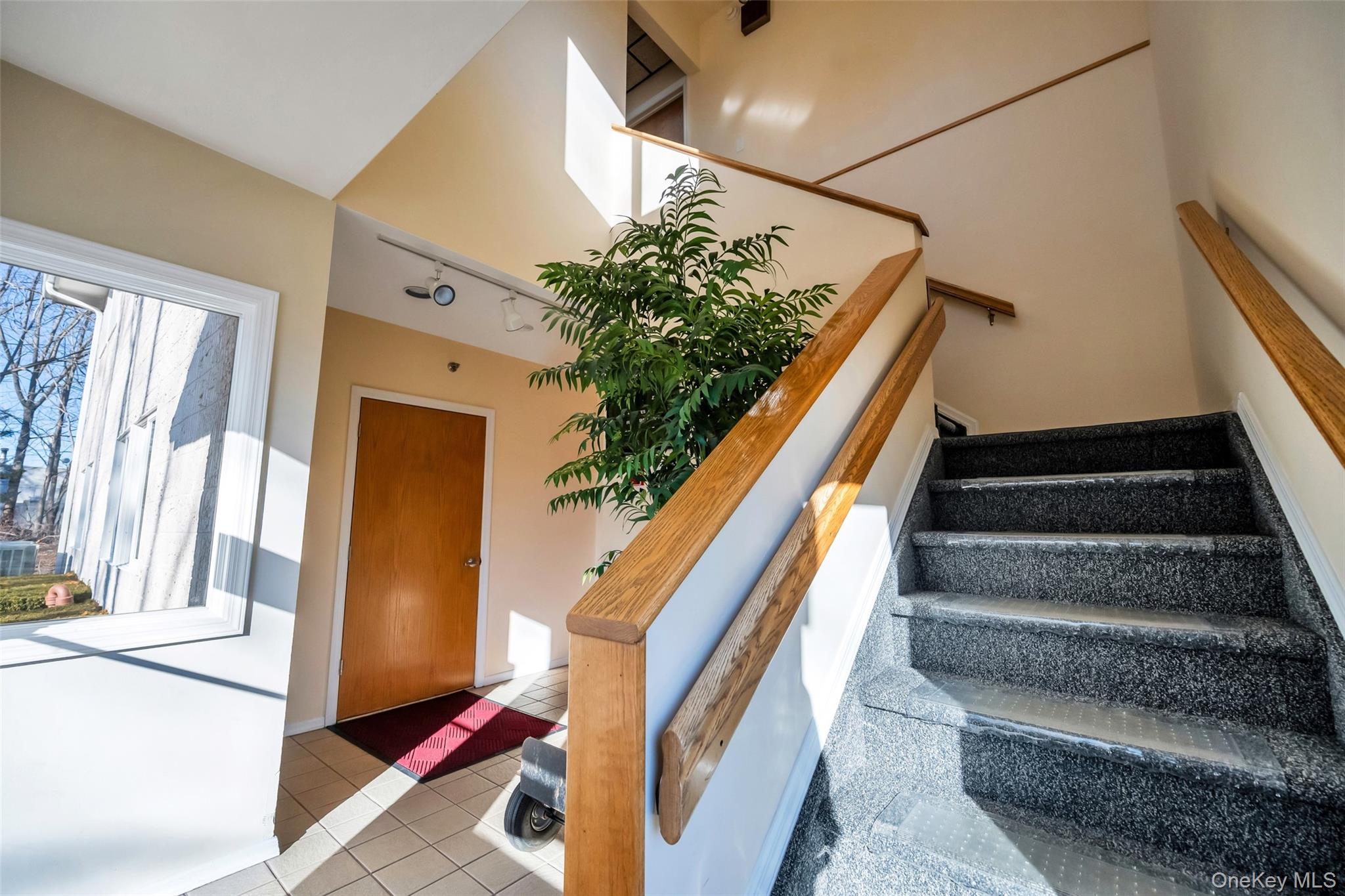 2450 middle country, Centereach, NY 11720