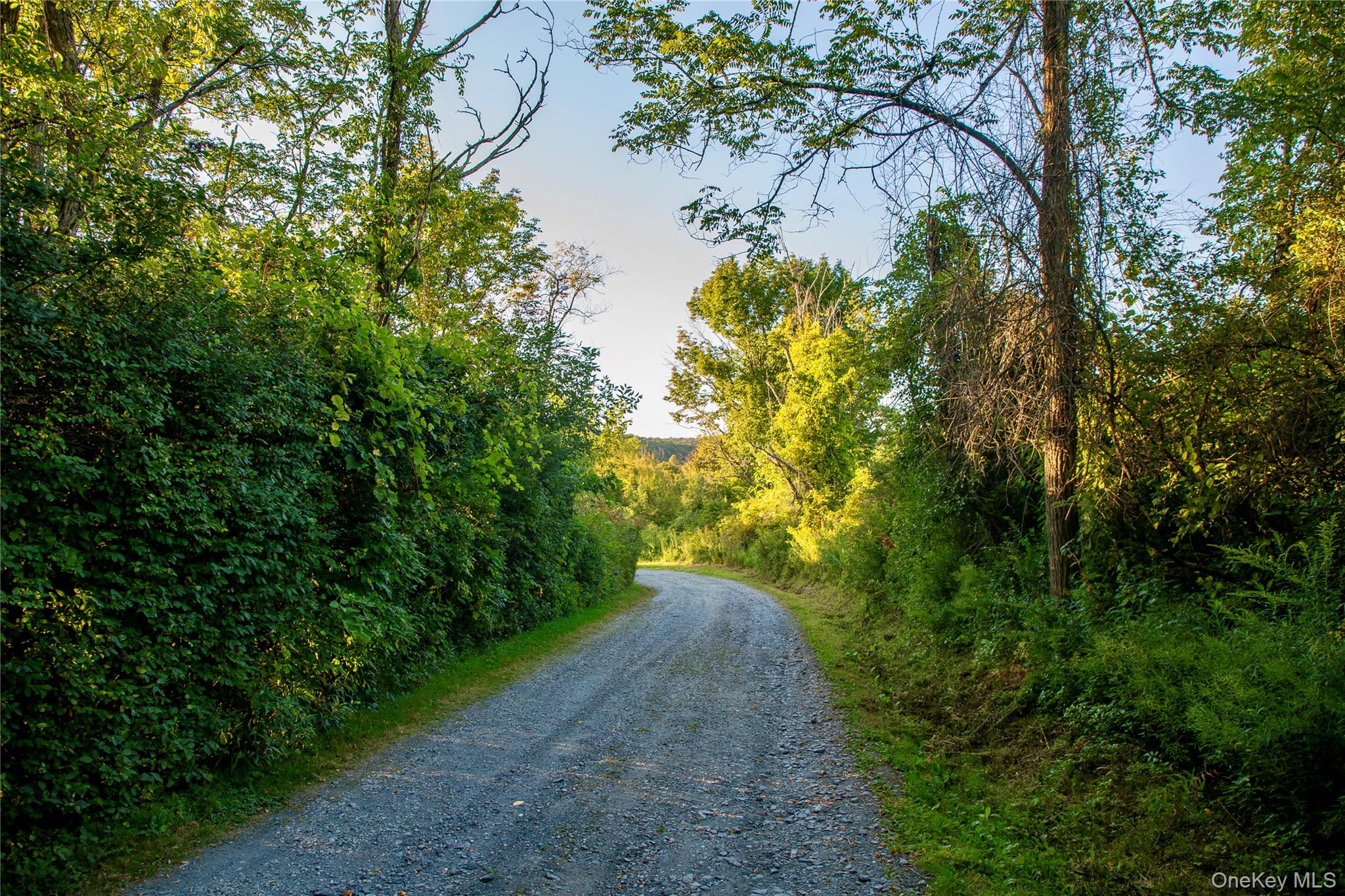 20 Orchard Hill Drive, Millbrook, NY 12545